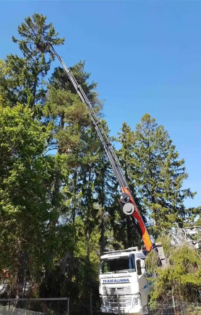 Trädfällning i Gustavsberg med lastbil och arbete på hög höjd utfört av Linds Trädfällning.