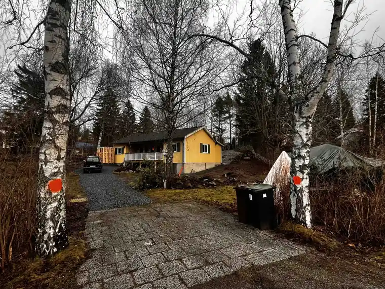 Trädfällning nära bostadshus – Linds Trädfällning