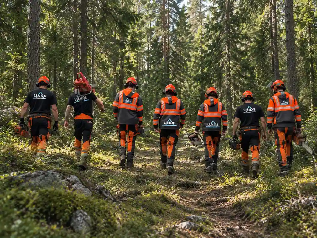Startsida 8 trädfällning och stubbfräsning stockholm - Linds Trädfällning